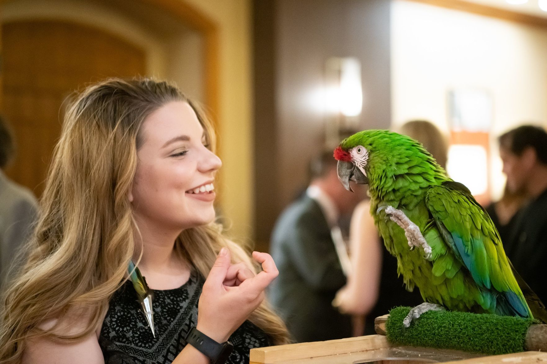 Fete du Feather Gala and Auction